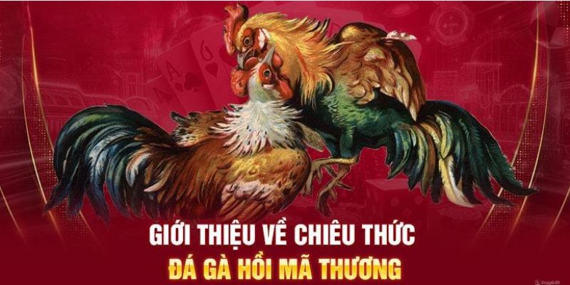 Khái quát về đá gà mã thương